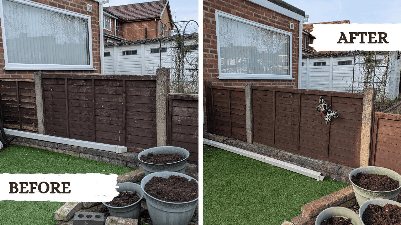 Before and after picture from fence painting gardening project