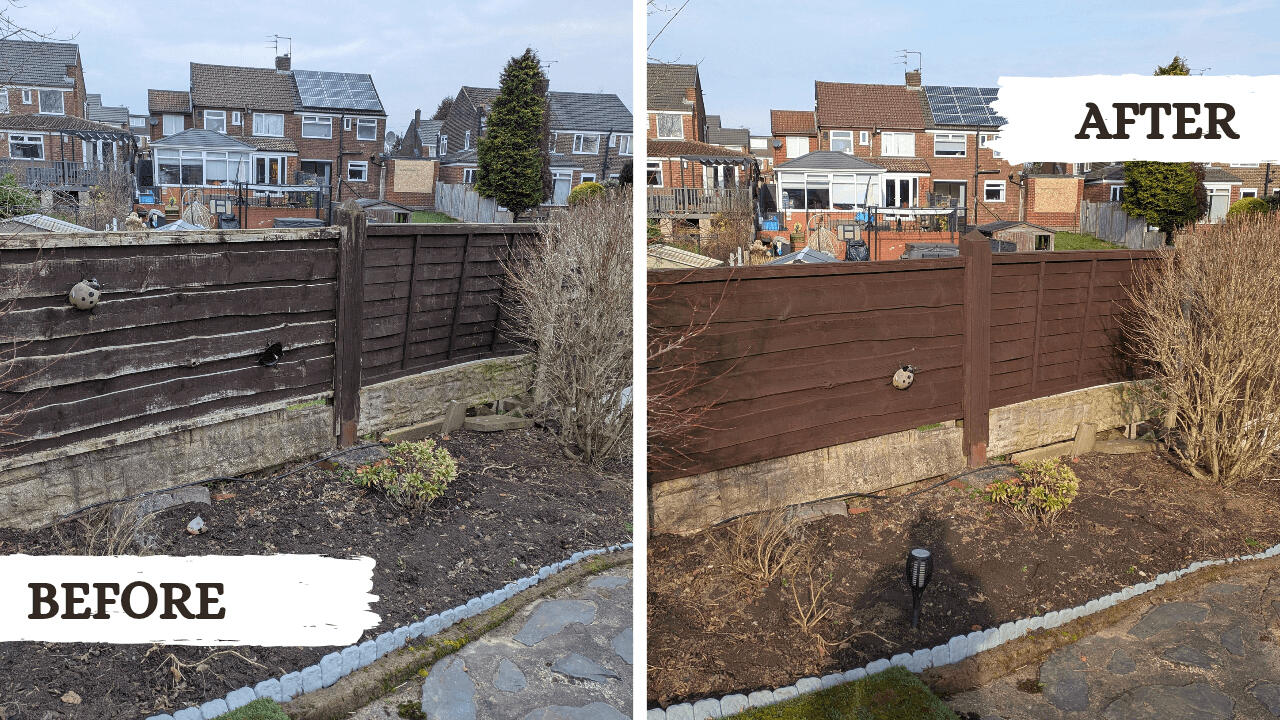 Before and after picture from fence painting gardening project