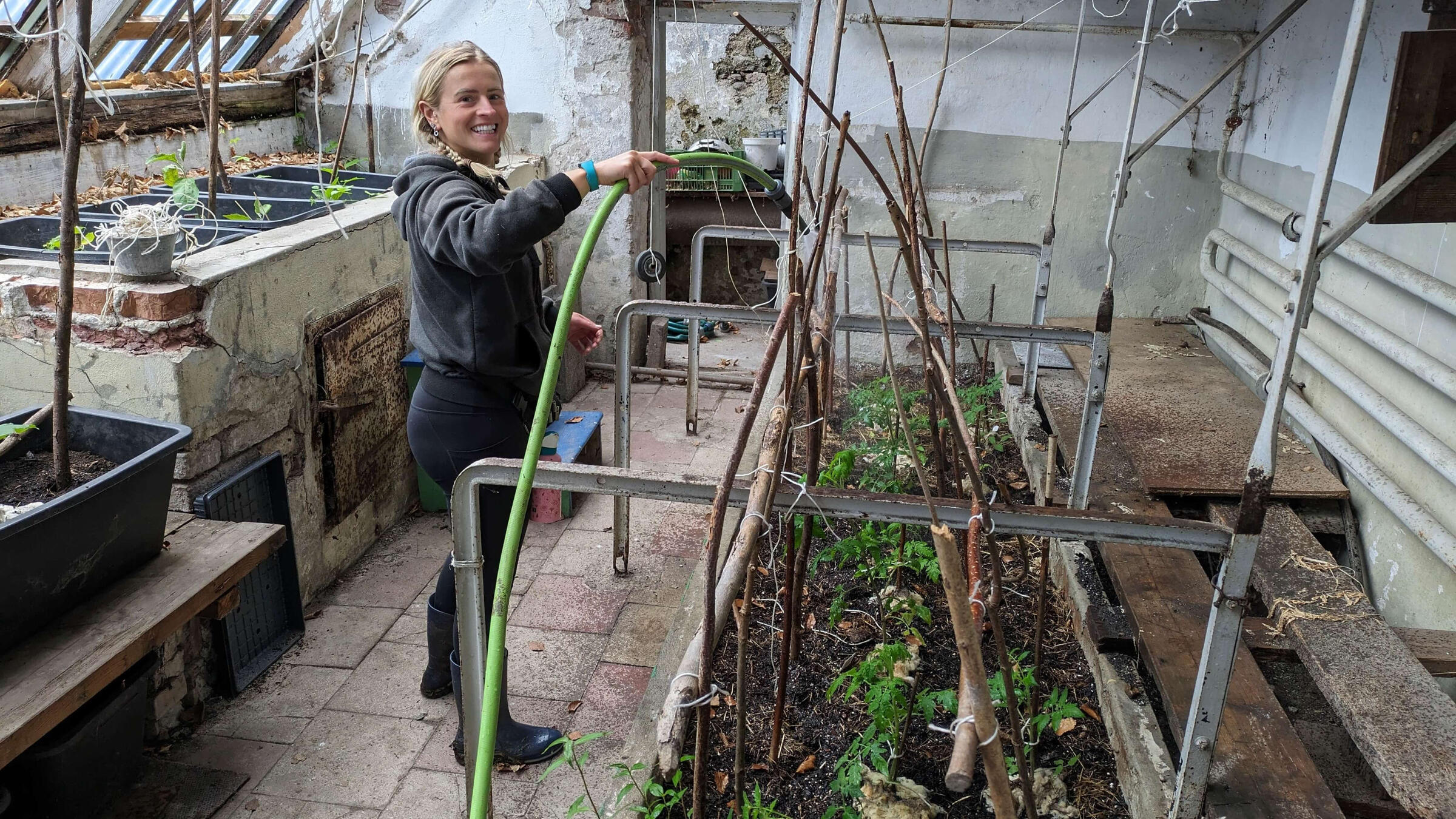 A gardener watering plants