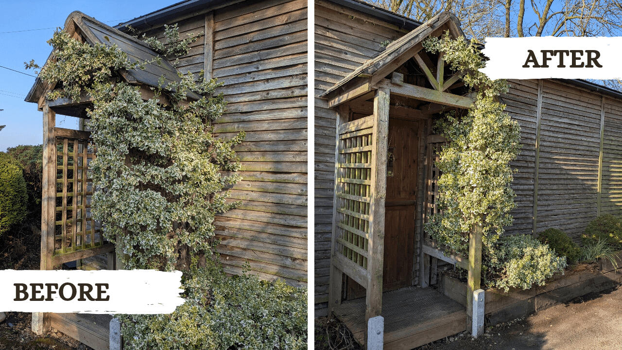 Before and after picture from a garden tidy project